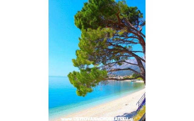 Apartments Helena – Accommodation Gradac – Podaca Kroatië