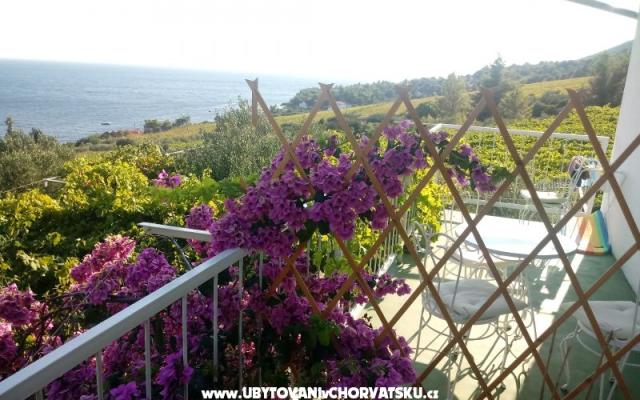 ART AND NATURE  – Accommodation Island of Hvar Kroatië