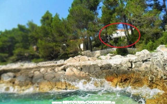 Apartments Marica Pecotić  – Accommodation Korcula Kroatië