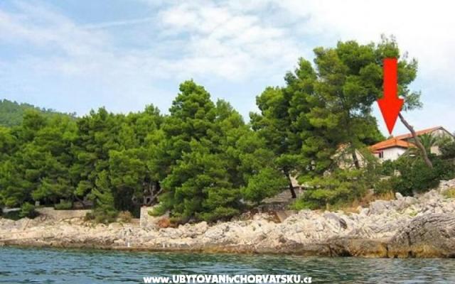 Vacation house Villa Antea – Accommodation Korcula Kroatië