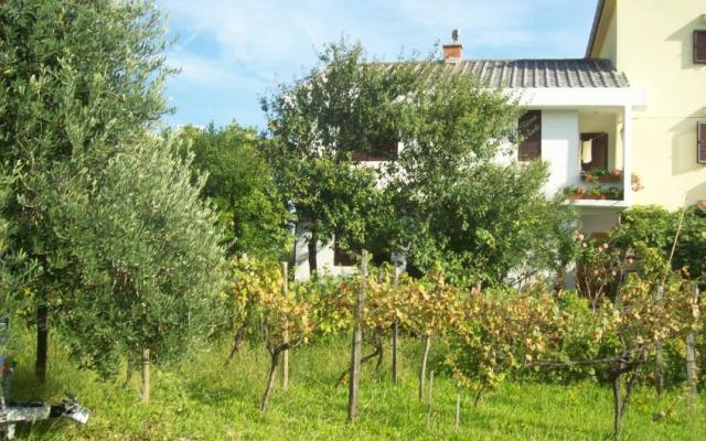 Apartments Vasilić – Accommodation Island of Krk Kroatië