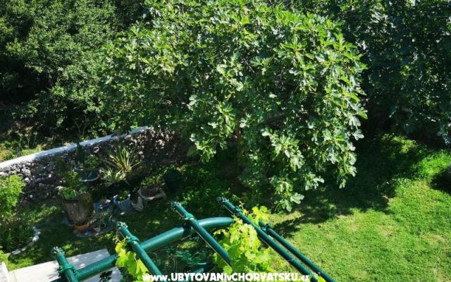Apartments Garden paradise – Accommodation Makarska Kroatië