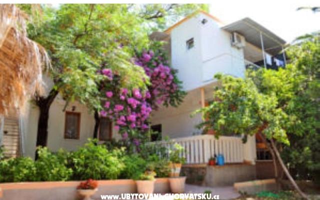 Apartments Oaza – Accommodation Makarska Kroatië