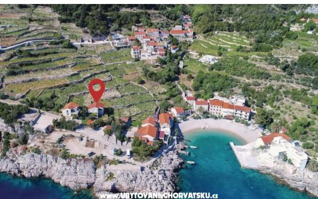 Two olive trees – Accommodation Orebic – Peljesac Kroatië