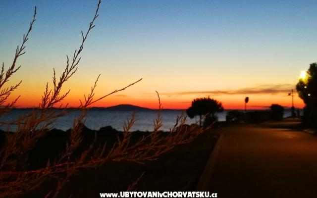 Apartments Elenor – Accommodation Island of Pag Kroatië