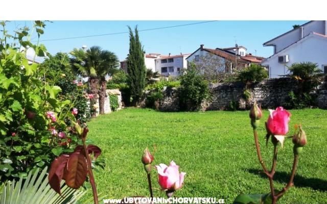 Apartments Gracija – Accommodation Porec Kroatië