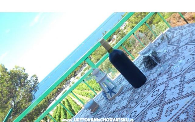Apartments vila Diana – Accommodation Primosten Kroatië