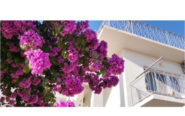 Apartment Mare – Accommodation Sibenik Kroatië