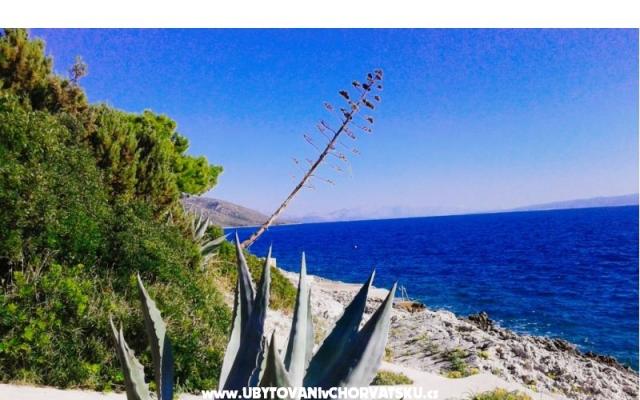 Goga Apartments – Accommodation Trogir Kroatië