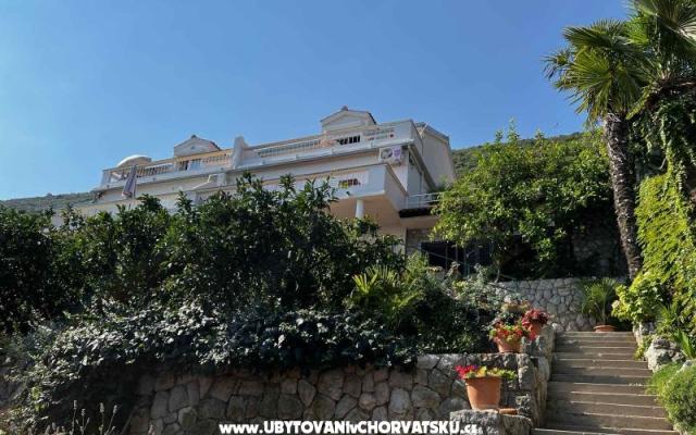 Vila Nautilus luxury Apartments – Accommodation Trpanj – Peljesac Kroatië