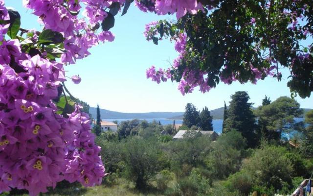 Apartments Branko Vidaković – Accommodation Island of  Ugljan Kroatië