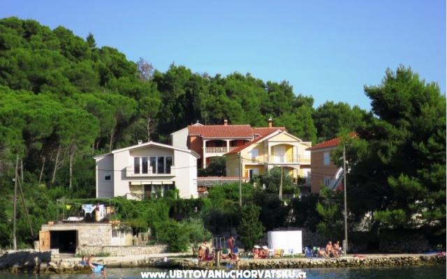 Apartments Tereza – Accommodation Island of  Ugljan Kroatië