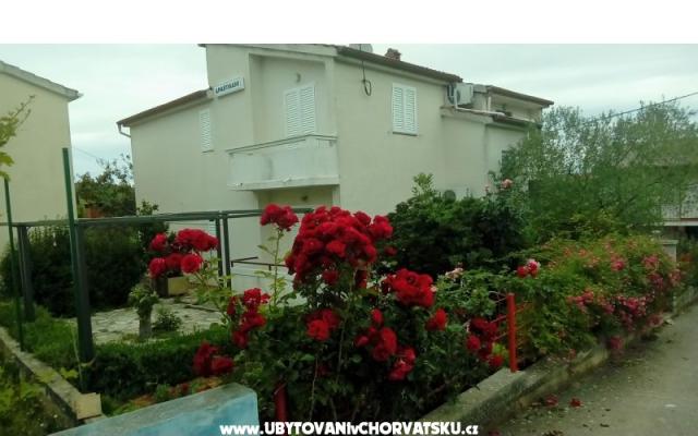 Apartments Tomislav – Accommodation Island of  Ugljan Kroatië