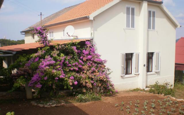 House Branka – Accommodation Zadar Kroatië