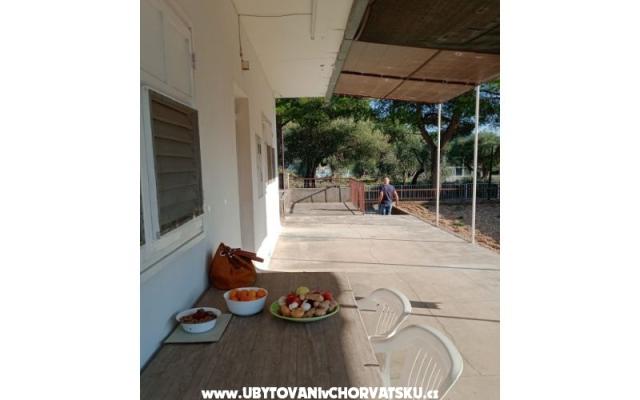 Apartment Viter – Accommodation Zaostrog Kroatië