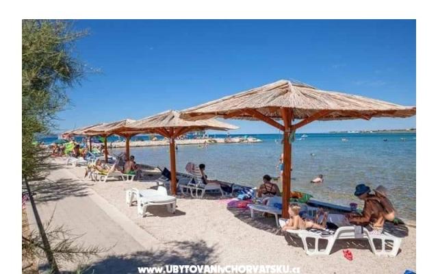 Apartments Ana Ercegović  – Accommodation Zaton Kroatië