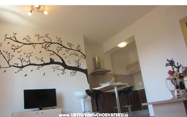 Apartments Zora – Accommodation Zaton Kroatië