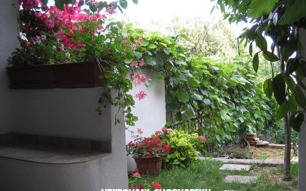 Apartments Brajković – Accommodation Zivogosce Kroatië