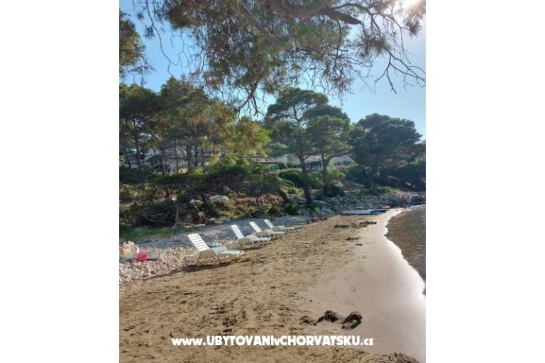 Apartments Ivo Mljet – photo 8