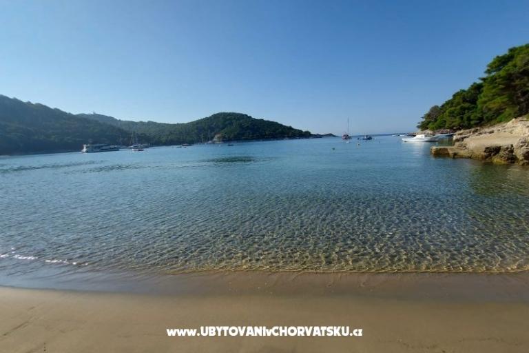 Apartments Ivo Mljet – photo 9