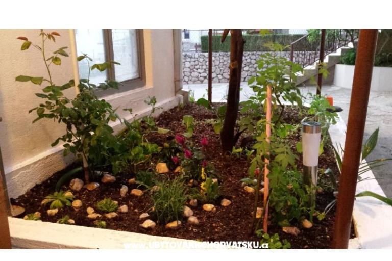 Apartment ANTON – photo 3