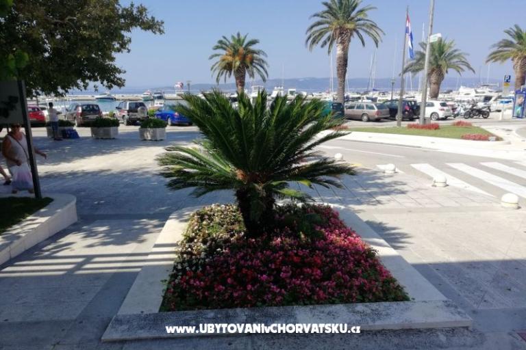 Apartments Divić - Villa Mateo  – photo 19
