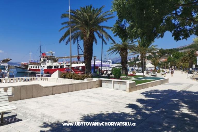 Apartments Divić - Villa Mateo  – photo 23