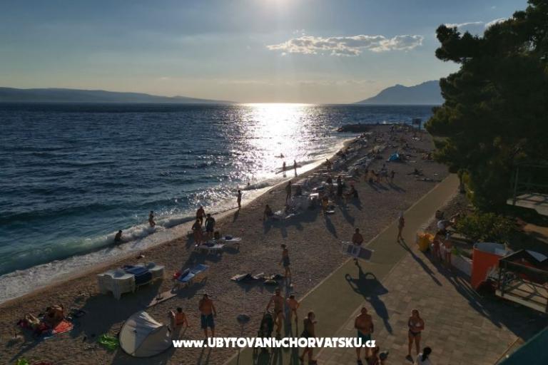 Apartments Divić - Villa Mateo  – photo 38