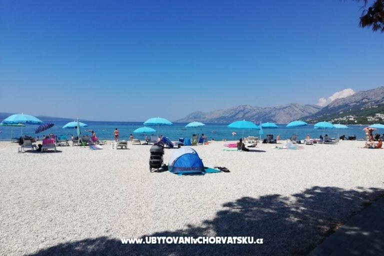 Apartments Divić - Villa Mateo  – photo 40