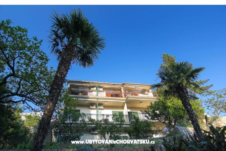 Apartments dominovic-Mladinov  – photo 3