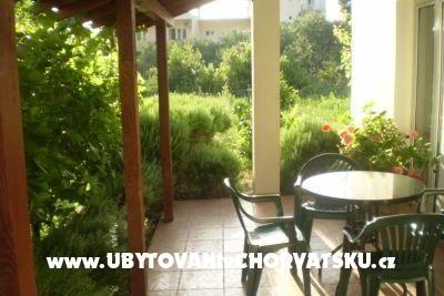 Apartments Goga PROMAJNA – photo 3