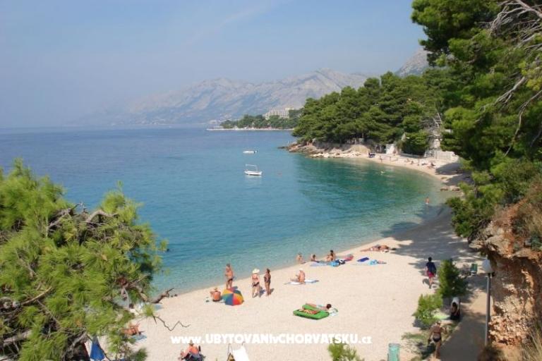 Apartments Jukanovic – photo 14