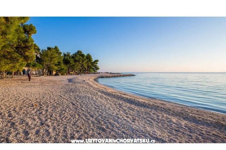 Apartments Jurišić – photo 14