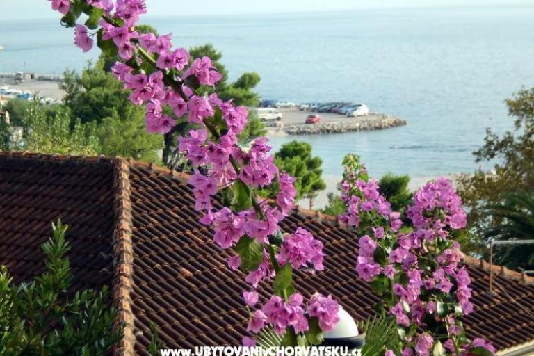 Apartments Jurišić – photo 17