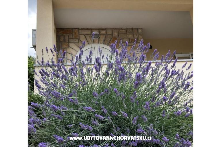 Apartments Iva – photo 10