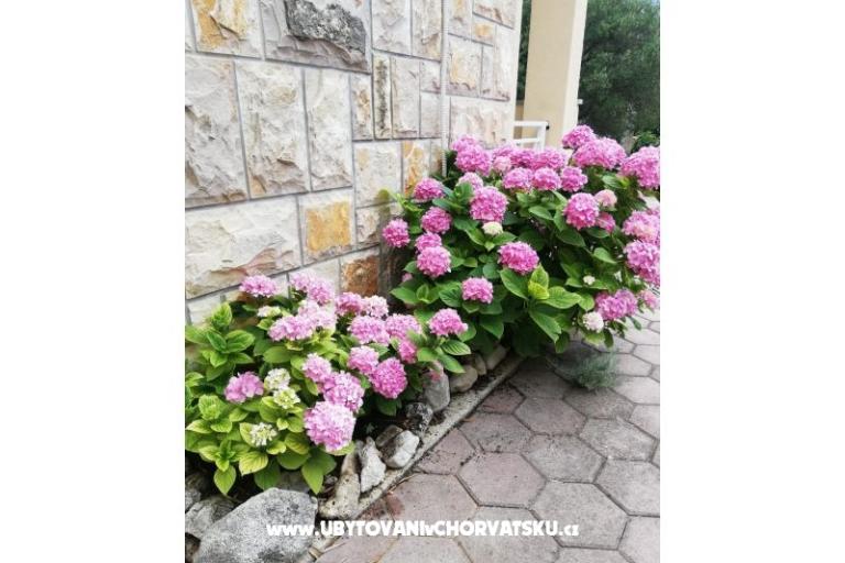 Apartments Iva – photo 12