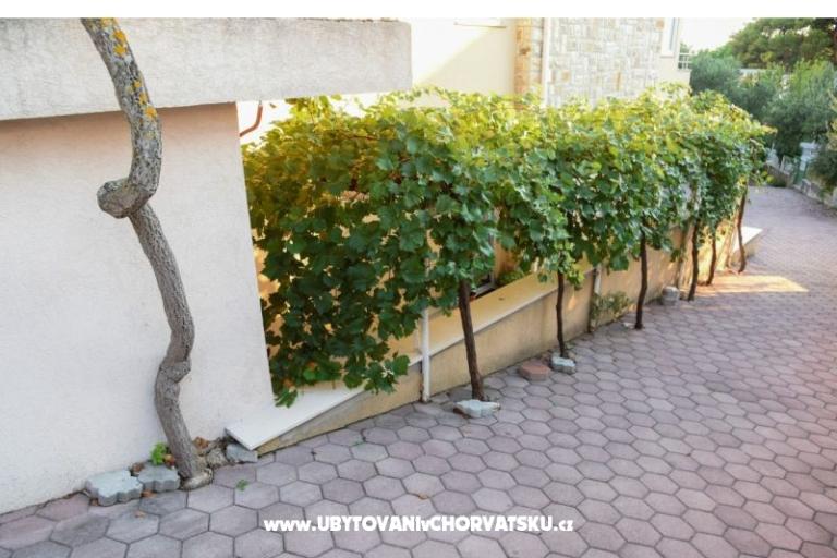 Apartments Iva – photo 13