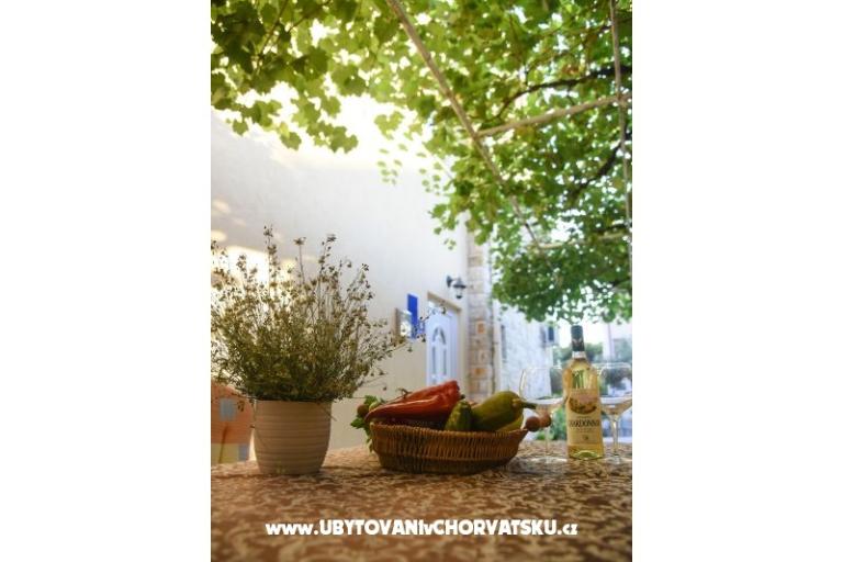 Apartments Iva – photo 14