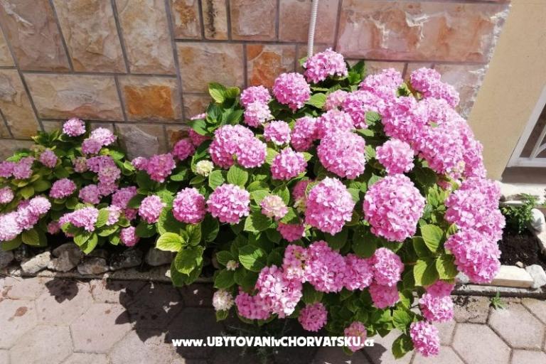 Apartments Iva – photo 15