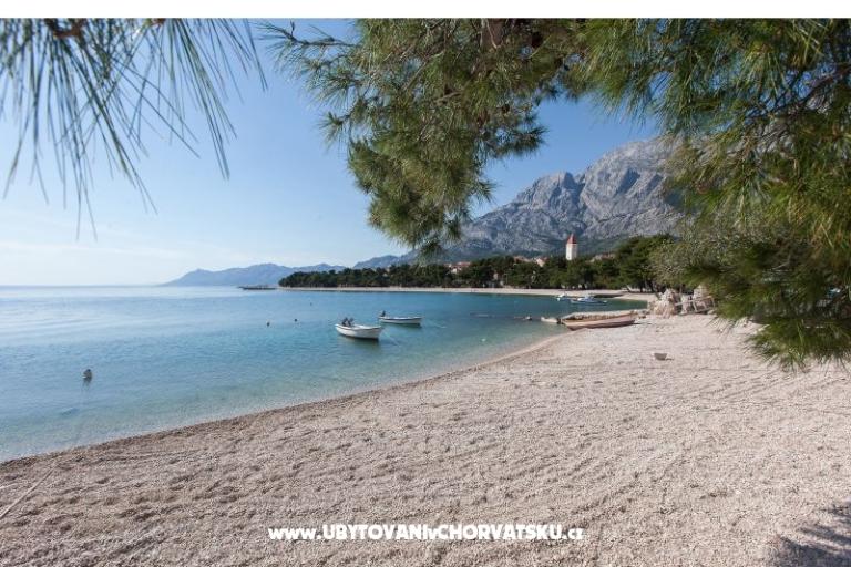 Apartments Orka Promajna – photo 18