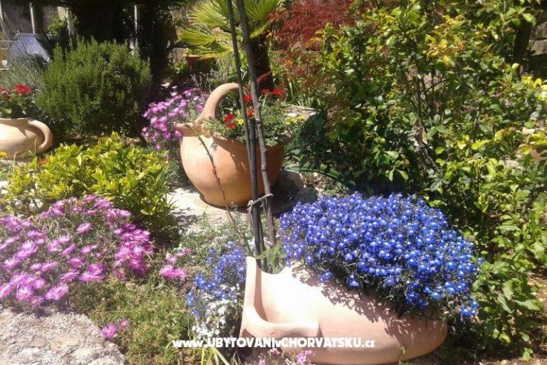 Apartments Sulic-Krvavica – photo 24