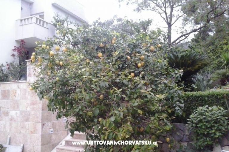 Apartments Sulic-Krvavica – photo 26