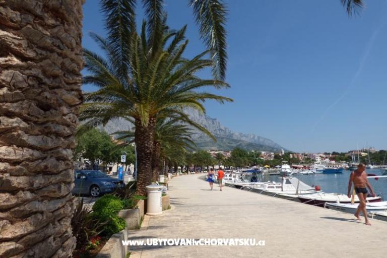 Apartments Ruza – photo 14