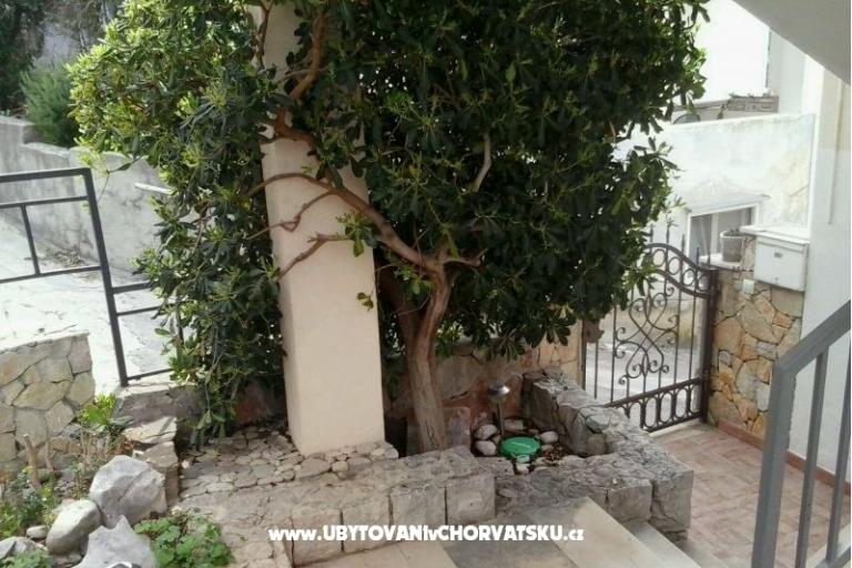 Apartment Rose – photo 16