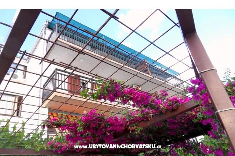 Villa Borovina – photo 4