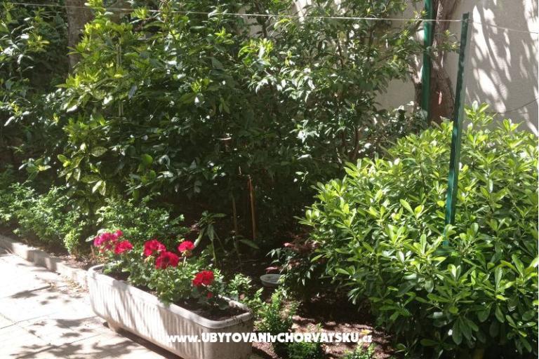 Bukovac – photo 11