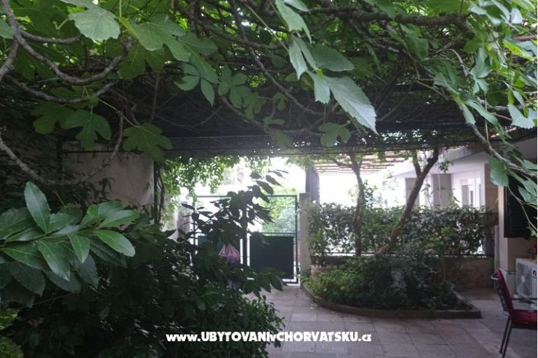 Bukovac – photo 12