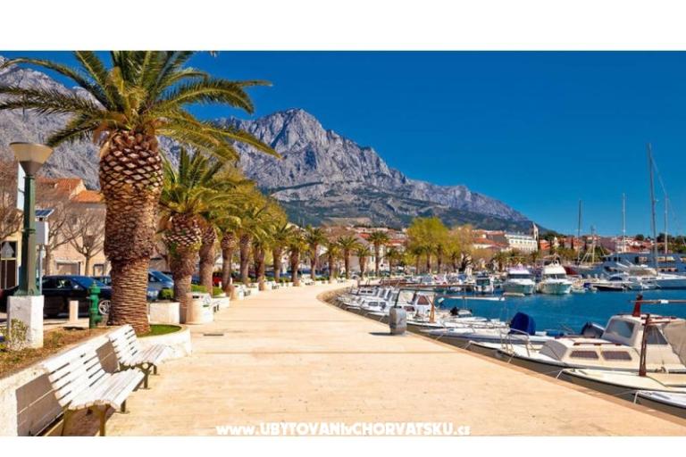 Bukovac – photo 14