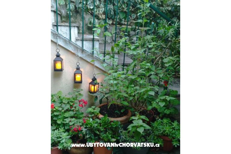 Bukovac – photo 18