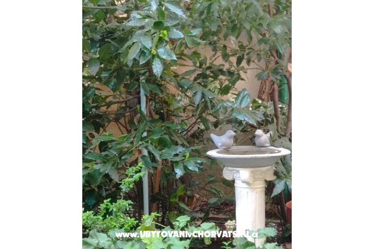 Bukovac – photo 19